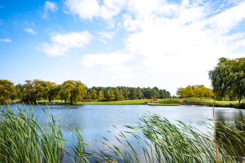 Tiny photo for Woodstock, IL 60098 (MLS # 12584038)