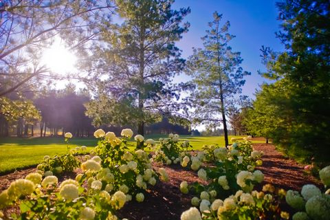 Tiny photo for Woodstock, IL 60098 (MLS # 12584038)