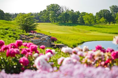 Tiny photo for Woodstock, IL 60098 (MLS # 12584038)