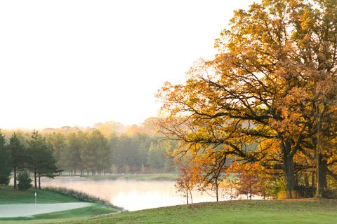 Tiny photo for Woodstock, IL 60098 (MLS # 12584038)