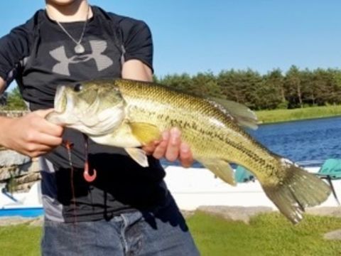 Tiny photo for Woodstock, IL 60098 (MLS # 12584038)