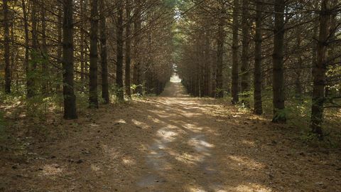 Tiny photo for Woodstock, IL 60098 (MLS # 12584038)