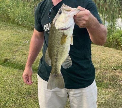 Tiny photo for Woodstock, IL 60098 (MLS # 12584038)