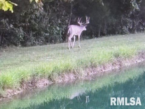 Tiny photo for 4490 Brushy Creek Church Road, Galatia, IL 62935 (MLS # EB459871)