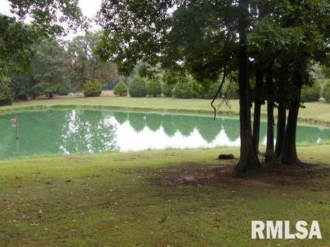 Tiny photo for 4490 Brushy Creek Church Road, Galatia, IL 62935 (MLS # EB459871)