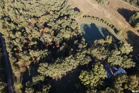 Tiny photo for 4490 Brushy Creek Church Road, Galatia, IL 62935 (MLS # EB459871)