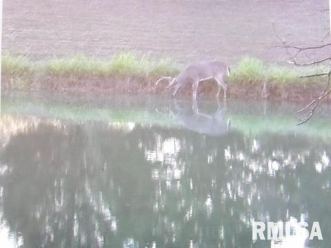 Tiny photo for 4490 Brushy Creek Church Road, Galatia, IL 62935 (MLS # EB459871)