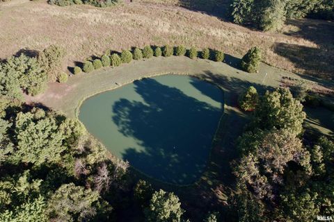 Tiny photo for 4490 Brushy Creek Church Road, Galatia, IL 62935 (MLS # EB459871)