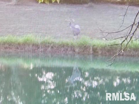 Tiny photo for 4490 Brushy Creek Church Road, Galatia, IL 62935 (MLS # EB459871)