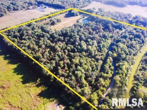 Tiny photo for 4490 Brushy Creek Church Road, Galatia, IL 62935 (MLS # EB459871)