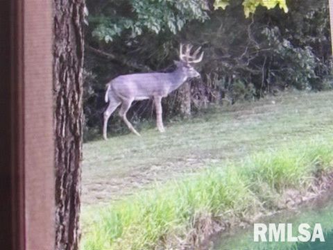 Tiny photo for 4490 Brushy Creek Church Road, Galatia, IL 62935 (MLS # EB459871)