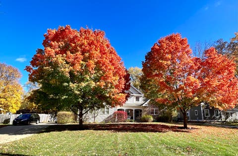 Tiny photo for 5709 Lenox Road, Lisle, IL 60532 (MLS # 12721849)