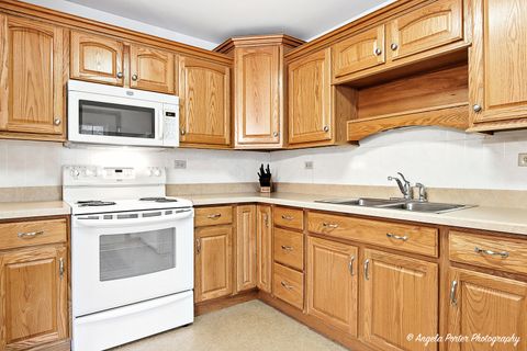 Tiny photo for 453 Willow Road, Wauconda, IL 60084 (MLS # 12491048)