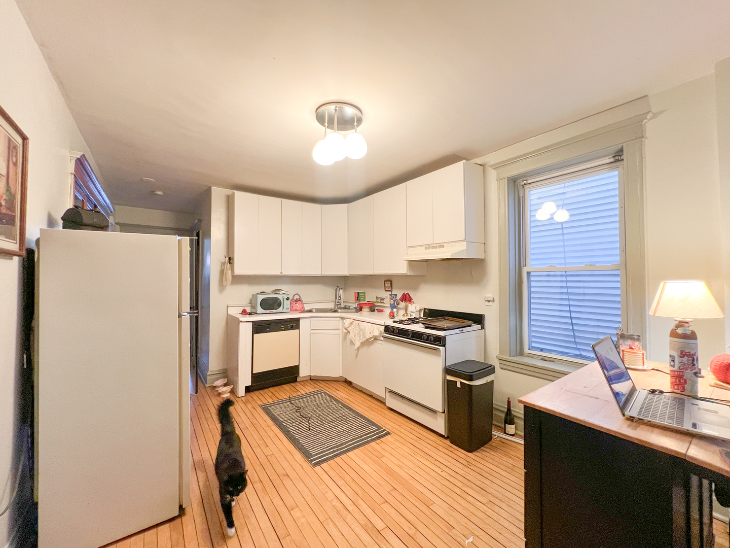 2442 N Ashland Avenue