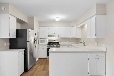 Tiny photo for 201 N President Street #3C, Wheaton, IL 60187 (MLS # 12725410)