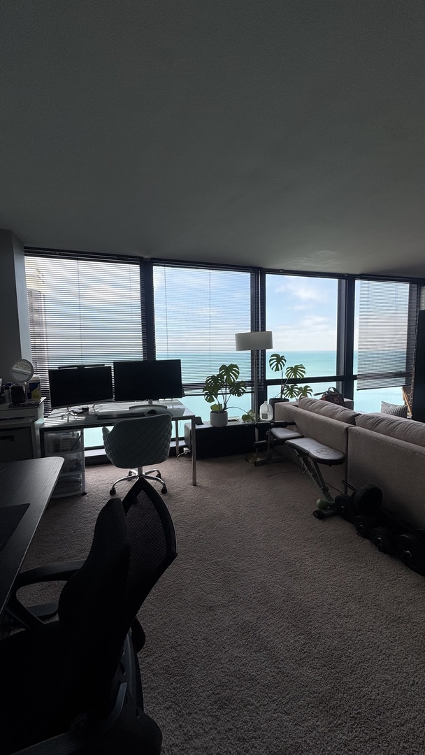 900 N LAKE SHORE Drive 2811