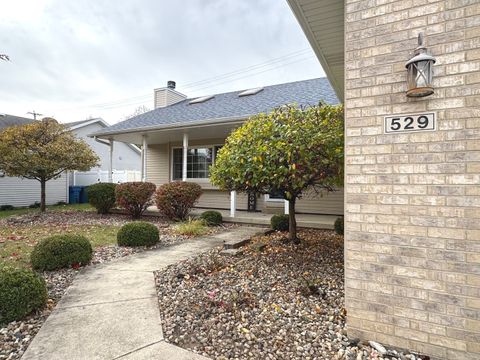 Tiny photo for 529 Suzanne Avenue, Bradley, IL 60915 (MLS # 12505560)