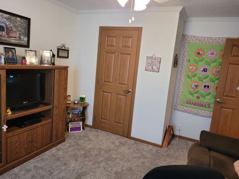 Tiny photo for 17592 N Seagull Lane, Bluford, IL 62814 (MLS # 12587358)