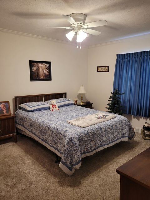 Tiny photo for 17592 N Seagull Lane, Bluford, IL 62814 (MLS # 12587358)