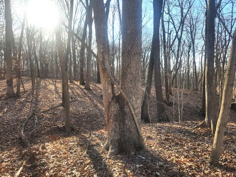 Lot 1764 Sunflower Court Varna IL 61375