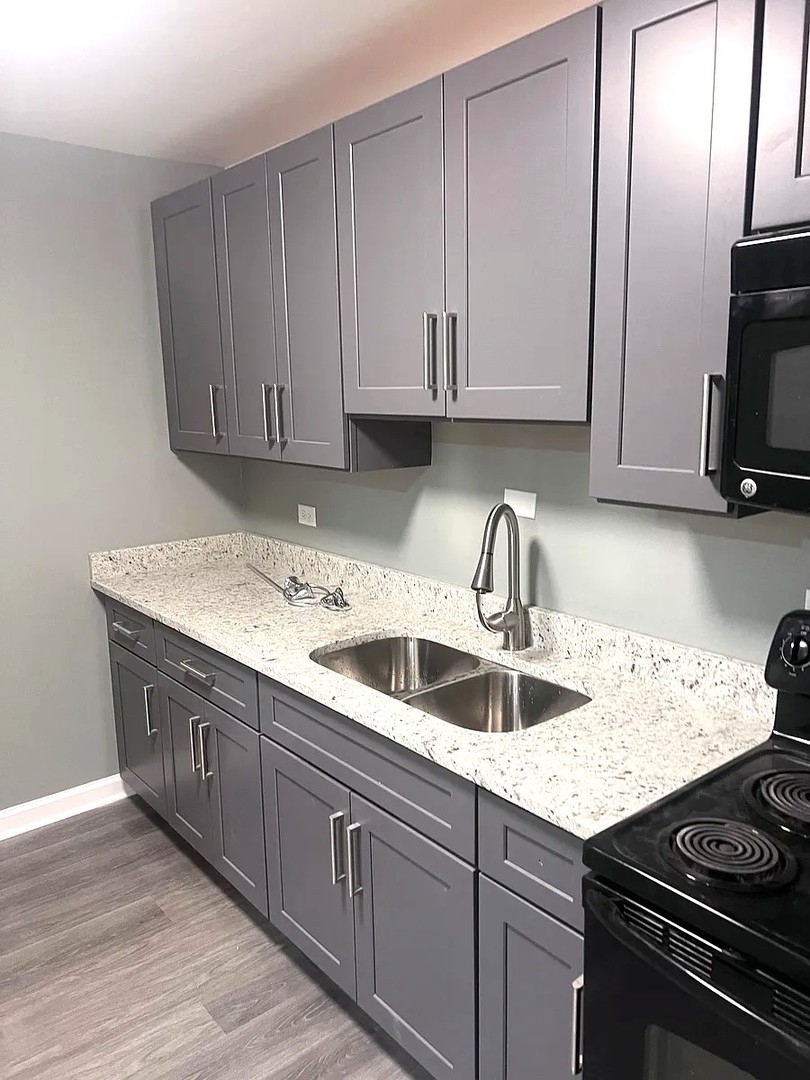 6619 N Sheridan Road 305