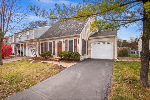 3S260 Birchwood Drive Warrenville IL 60555