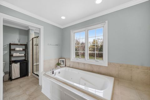 Tiny photo for 40W612 Blue Lake Circle N, St. Charles, IL 60175 (MLS # 12596410)