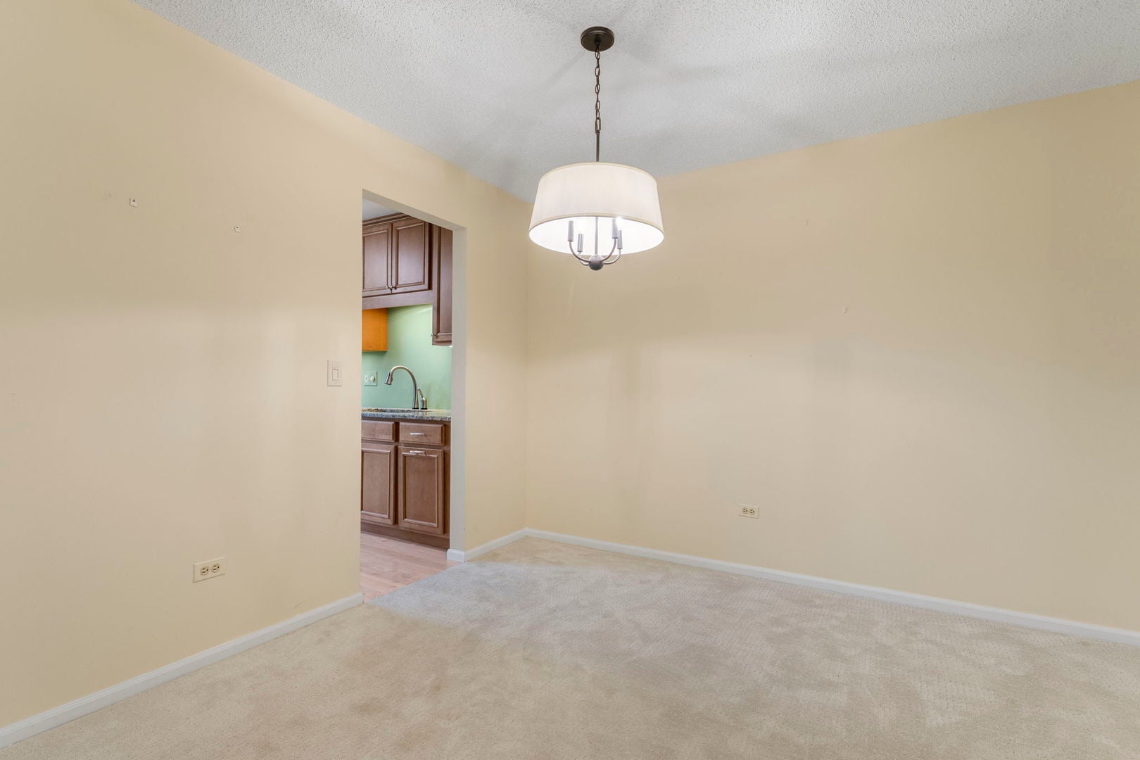 386 Elizabeth Drive 386