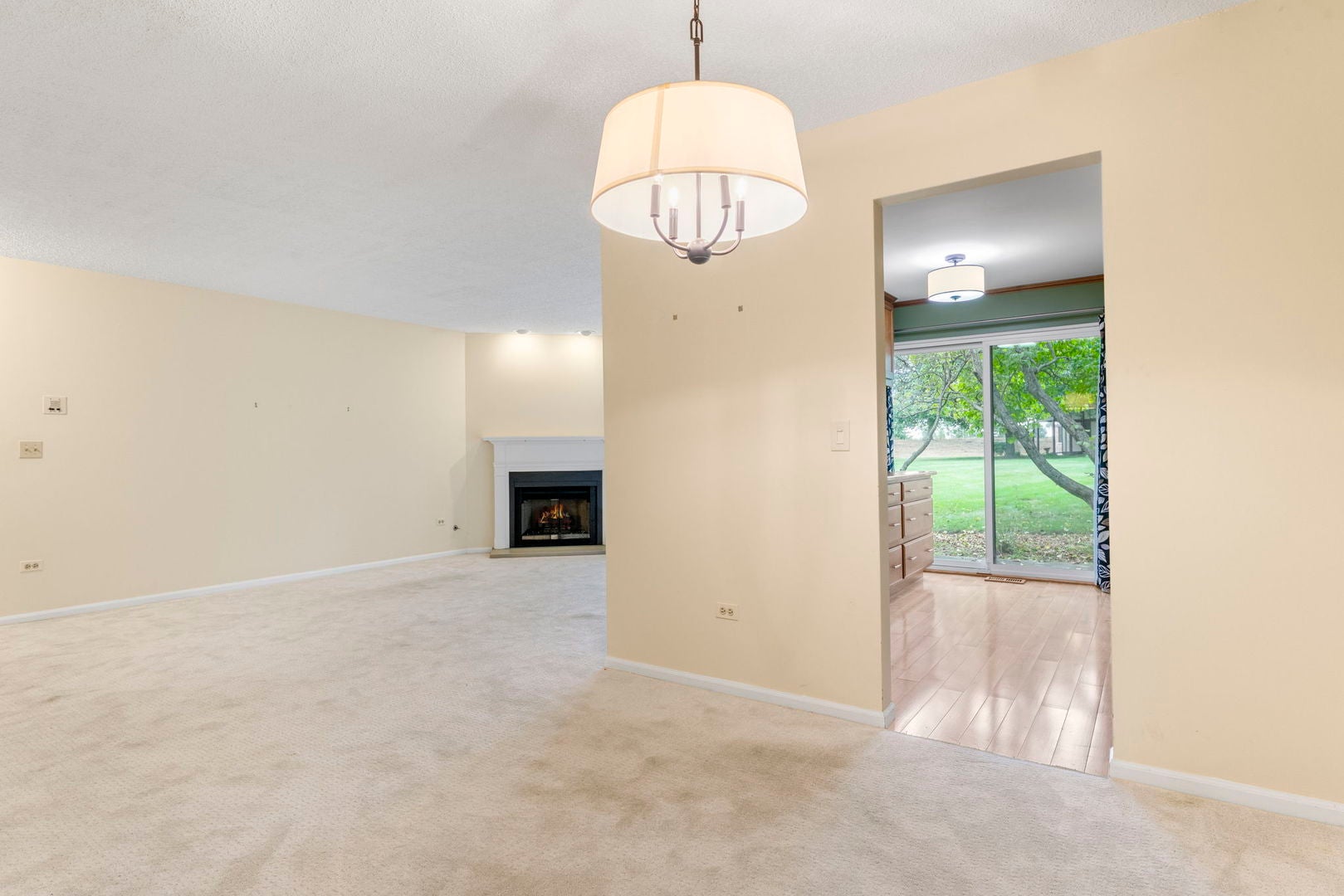 386 Elizabeth Drive 386