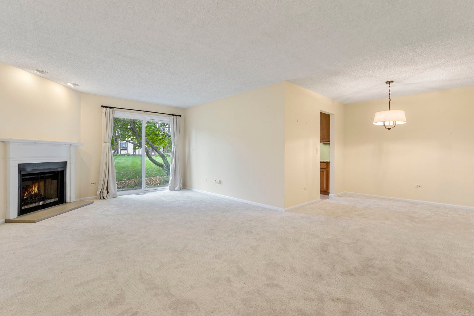 386 Elizabeth Drive 386
