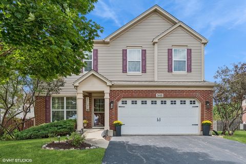541 Regal Lane Bolingbrook IL 60490