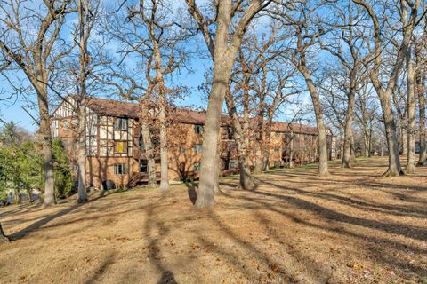 A home in Palos Heights