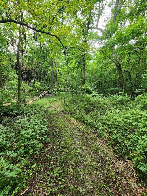 Tiny photo for 1388 265th Street, Sherrard, IL 61281 (MLS # 12739435)