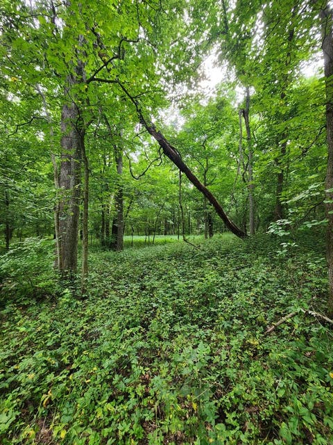 Tiny photo for 1388 265th Street, Sherrard, IL 61281 (MLS # 12739435)