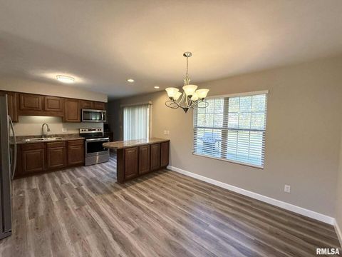 Tiny photo for 12301 Blue Sky Drive, Marion, IL 62959 (MLS # QC4268902)