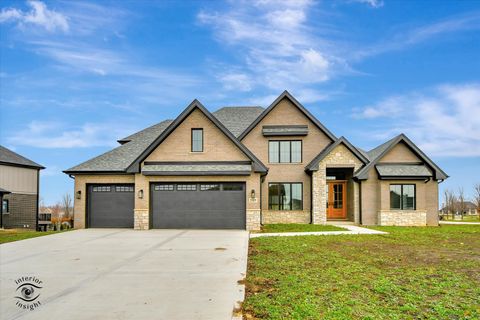 Tiny photo for 23155 Five Oaks Drive, Frankfort, IL 60423 (MLS # 12216024)