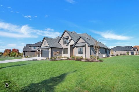 Tiny photo for 23155 Five Oaks Drive, Frankfort, IL 60423 (MLS # 12216024)