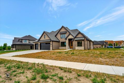 Tiny photo for 23155 Five Oaks Drive, Frankfort, IL 60423 (MLS # 12216024)