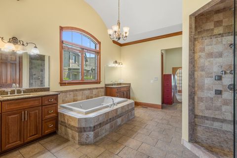 Tiny photo for 20698 Eagle Bluff Court, Frankfort, IL 60423 (MLS # 12697813)