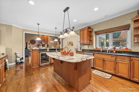 Tiny photo for 13302 Rosewood Lane, Plainfield, IL 60585 (MLS # 12522830)