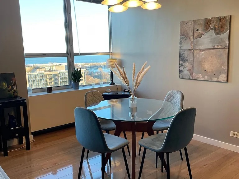 655 W Irving Park Road 2406