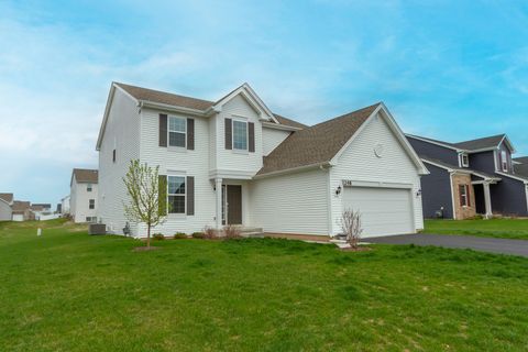 1248 Marlisle Drive Hampshire IL 60140