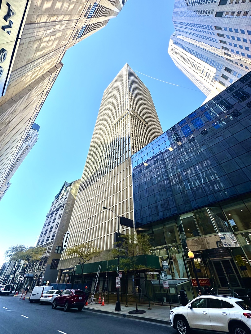 100 E Walton Street 11E