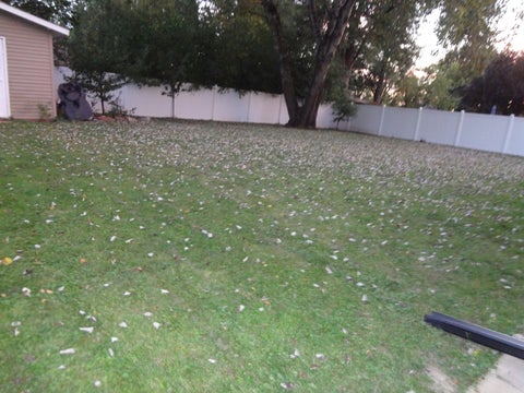 Tiny photo for 4193 Blackstone Avenue, Gurnee, IL 60031 (MLS # 12783987)