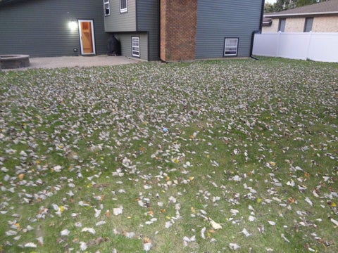 Tiny photo for 4193 Blackstone Avenue, Gurnee, IL 60031 (MLS # 12783987)