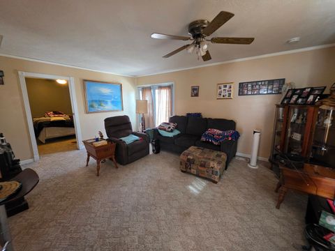 Tiny photo for 610 Cherry Street, Pana, IL 62557 (MLS # 12569819)