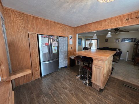 Tiny photo for 610 Cherry Street, Pana, IL 62557 (MLS # 12569819)