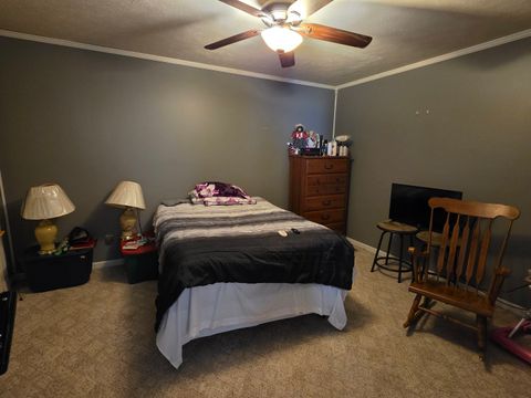 Tiny photo for 610 Cherry Street, Pana, IL 62557 (MLS # 12569819)