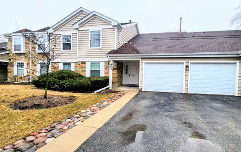 Photo of 601 Fairbanks Court #V2, Schaumburg, IL 60194 (MLS # 12584654)