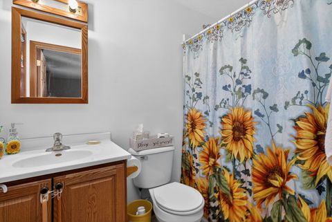 Tiny photo for 194 Fossil Cove Lane, Wilmington, IL 60481 (MLS # 12523233)